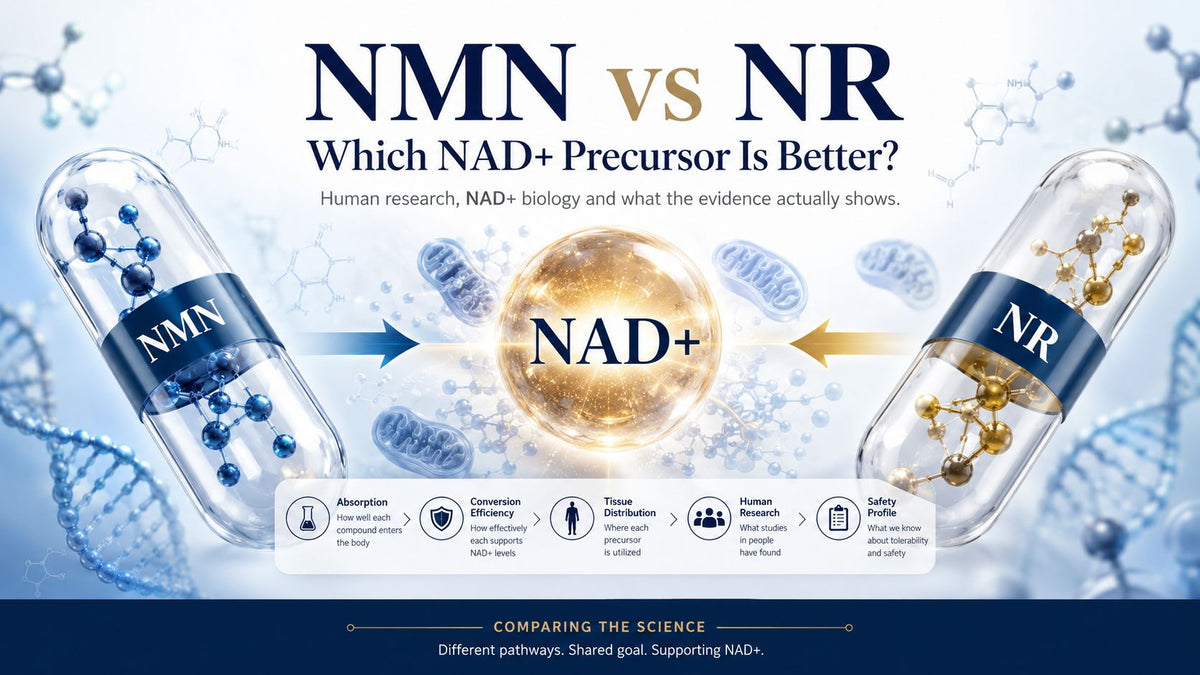 NMN vs NR: Which NAD+ Precursor Is Better?