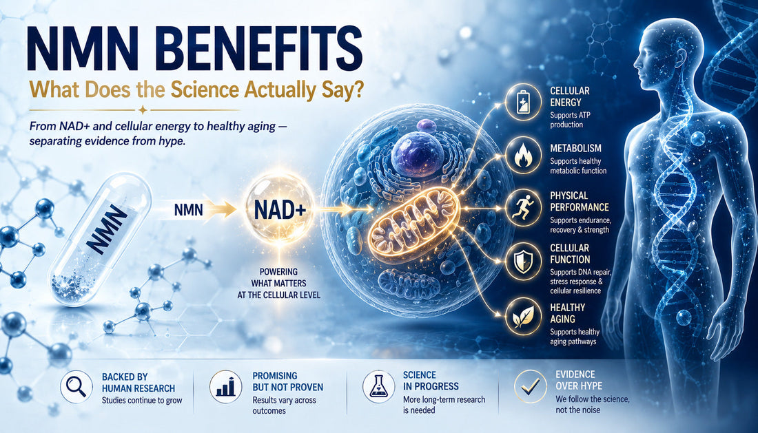 NMN Benefits: What Does the Science Actually Say?