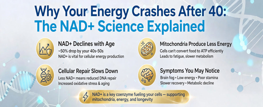 Why Your Energy Crashes After 40: The NAD+ Science Explained