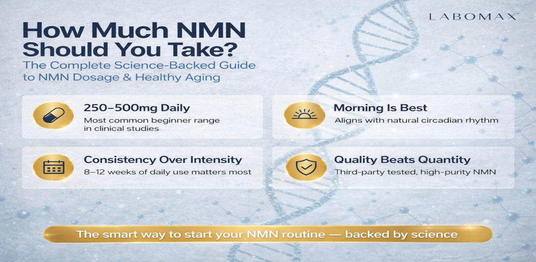 NMN Dosage Guide: How Much Should You Actually Take?