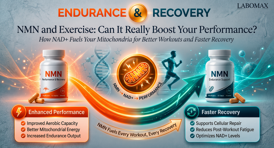 NMN and Exercise: Can It Really Boost Your Workout Recovery and Endurance?