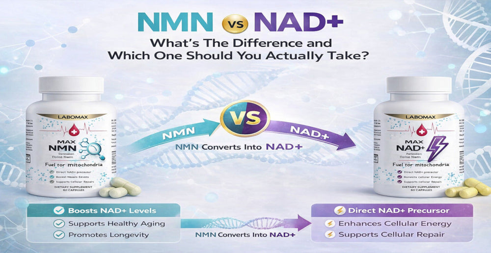 NMN vs NAD+: What's The Difference and Which One Should You Actually Take?